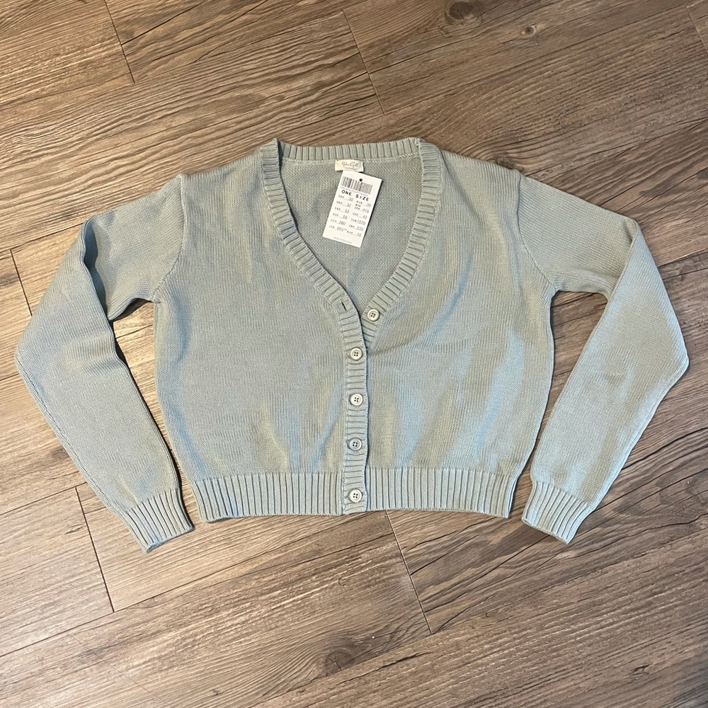 Brandy Melville cropped sweater